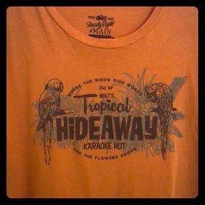 Lot of Disney Parks T-shirts; All New, Never Worn